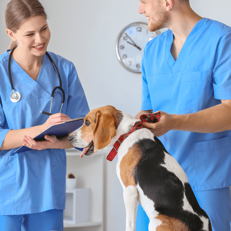 A women and person in blue scrubs holding a clipboard and a dog
